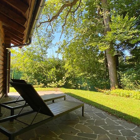 Huette Am Wald Villa Hof bei Salzburg Bagian luar foto