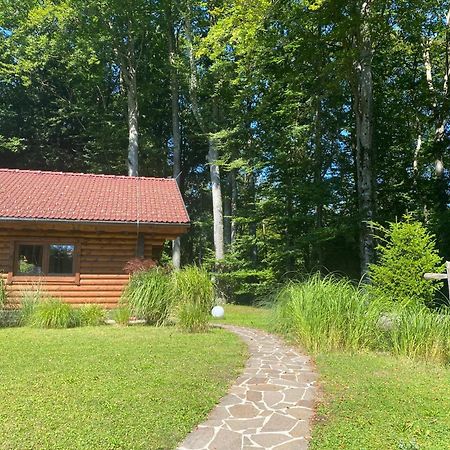 Huette Am Wald Villa Hof bei Salzburg Bagian luar foto