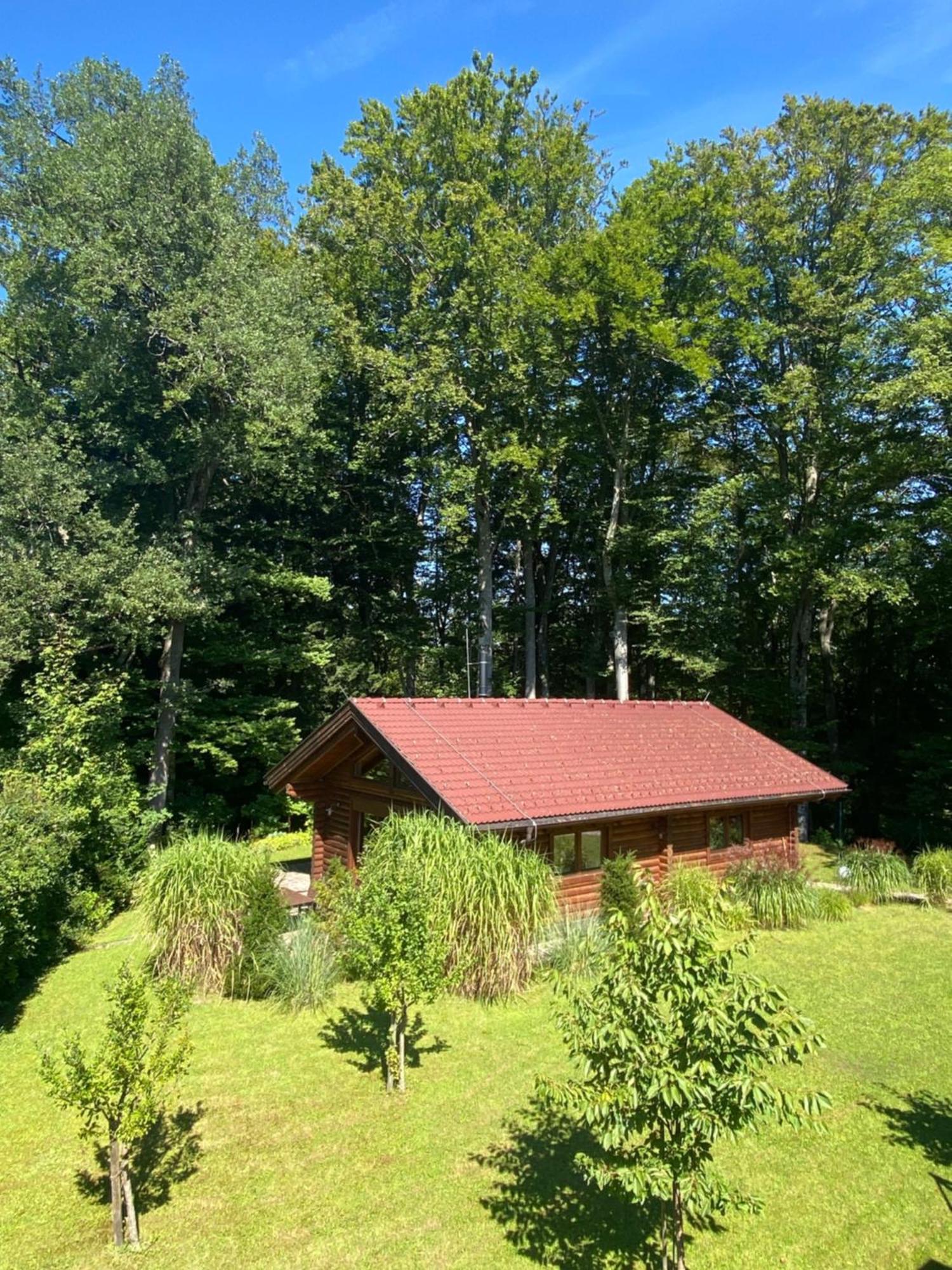 Huette Am Wald Villa Hof bei Salzburg Bagian luar foto