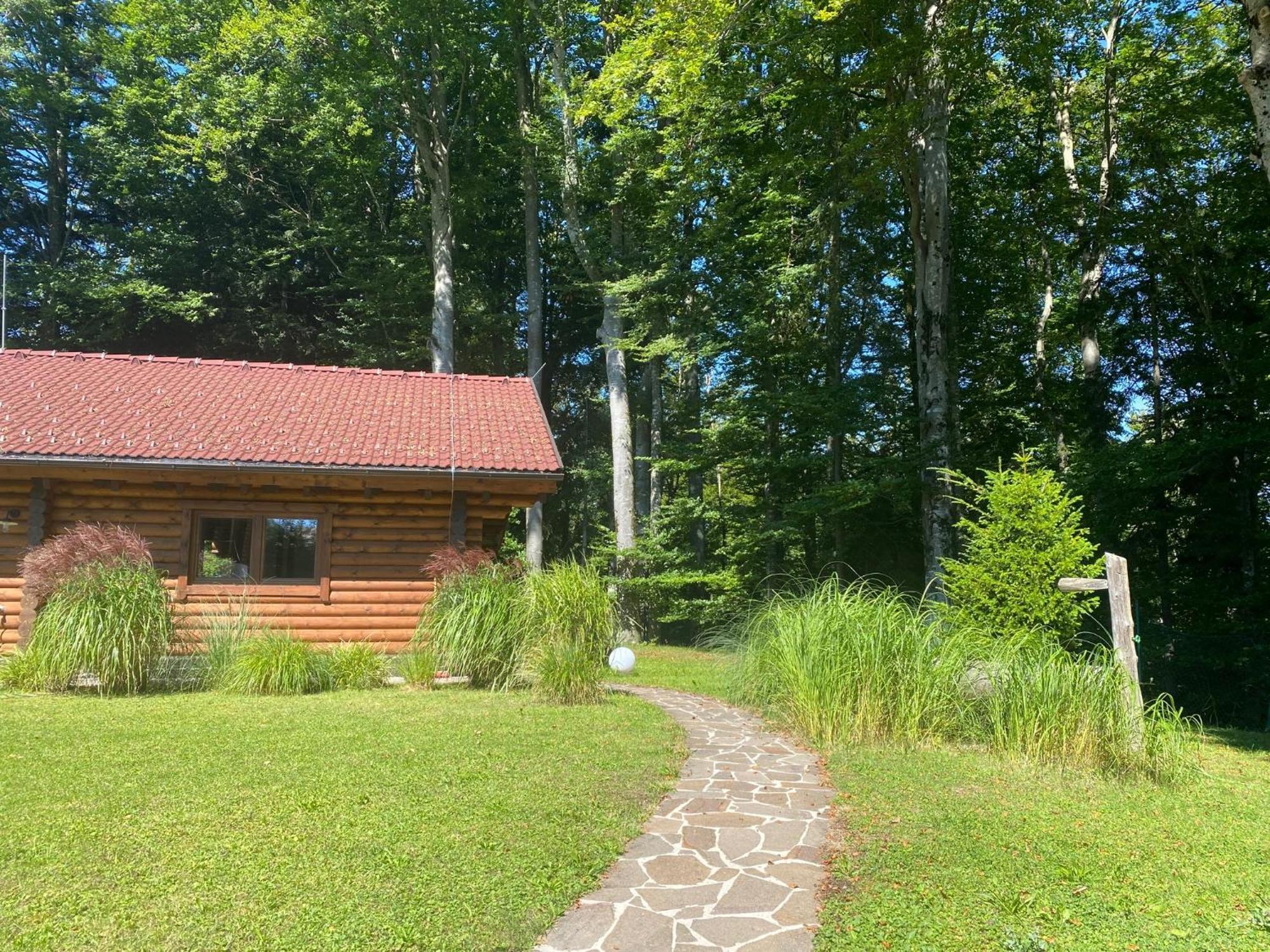Huette Am Wald Villa Hof bei Salzburg Bagian luar foto
