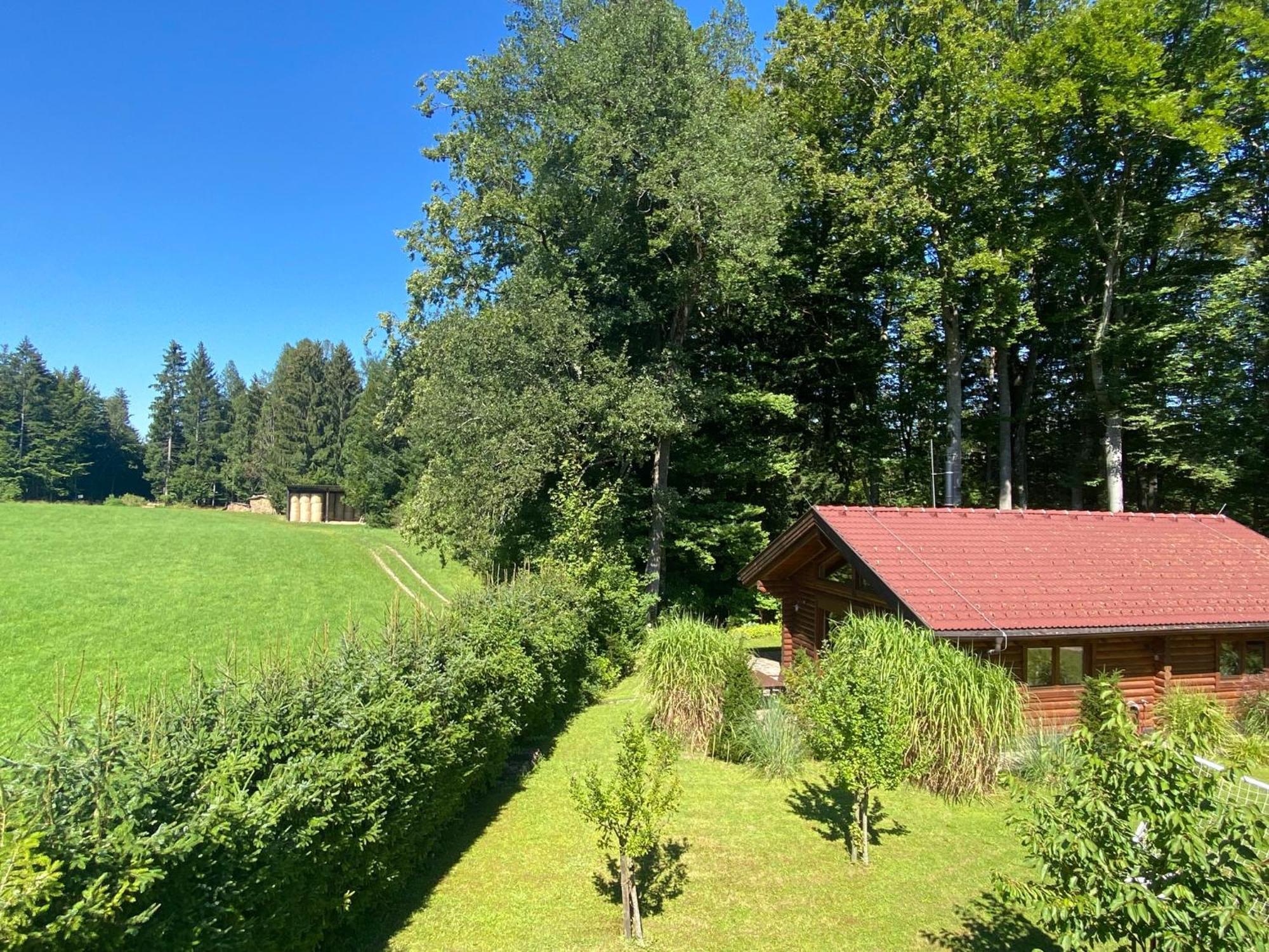 Huette Am Wald Villa Hof bei Salzburg Bagian luar foto